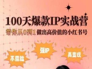 小红书100天爆款IP实战营，带你从0到1做出高价值的小红书号-翻身站