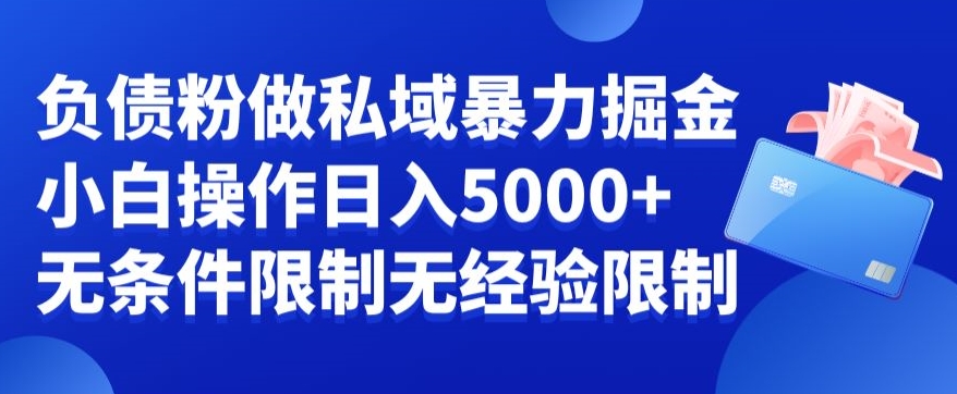 负债粉私域暴力掘金，小白操作入5000，无经验限制，无条件限制【揭秘】-翻身站