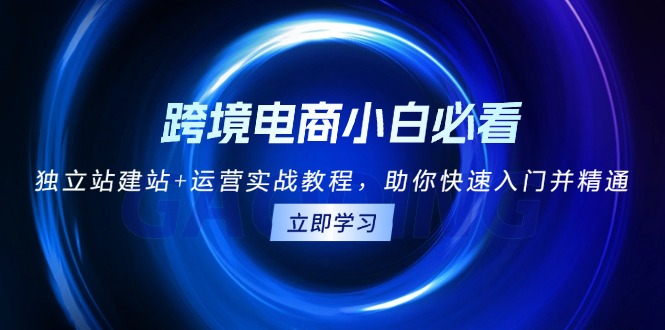 跨境电商小白必看！独立站建站+运营实战教程，助你快速入门并精通-翻身站