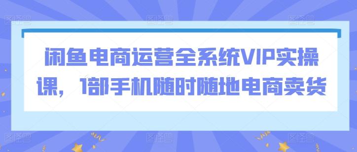闲鱼电商运营全系统VIP实操课，1部手机随时随地电商卖货-翻身站