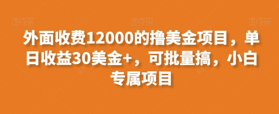 外面收费12000的撸美金项目，单日收益30美金+，可批量搞，小白专属项目-翻身站
