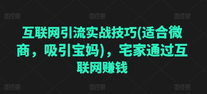 互联网引流实战技巧(适合微商，吸引宝妈)，宅家通过互联网赚钱-翻身站