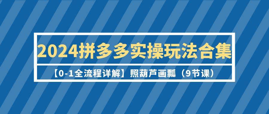 (9559期)2024拼多多实操玩法合集【0-1全流程详解】照葫芦画瓢(9节课)-翻身站