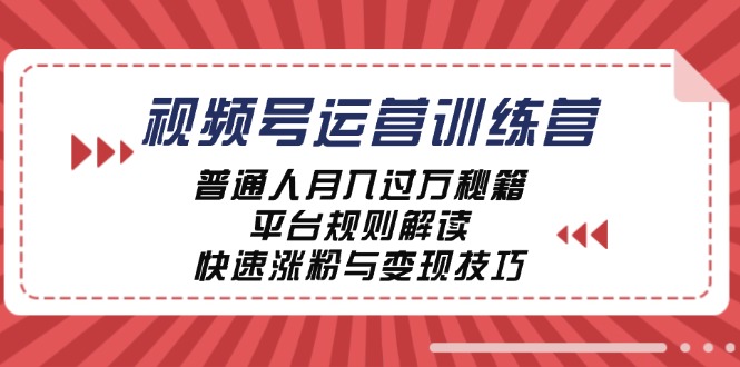视频号运营训练营：普通人月入过万秘籍，平台规则解读，快速涨粉与变现-翻身站