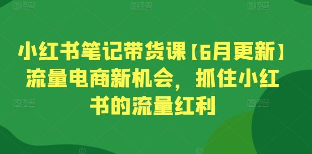 小红书笔记带货课【6月更新】流量电商新机会，抓住小红书的流量红利-翻身站