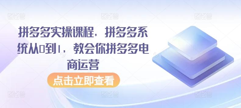 拼多多实操课程，拼多多系统从0到1，教会你拼多多电商运营-翻身站