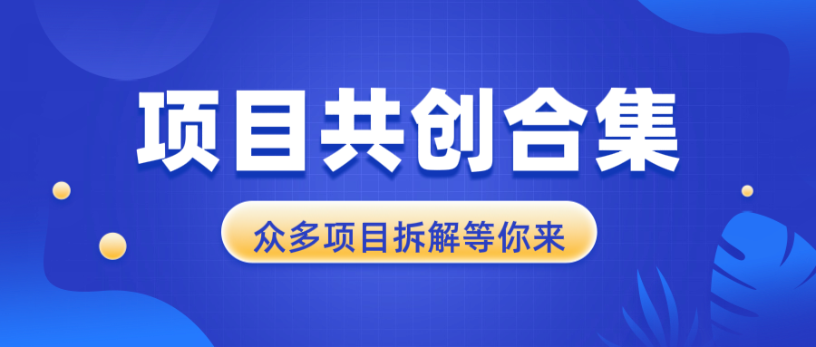 项目共创合集，从0-1全过程拆解，让你迅速找到适合自已的项目-翻身站