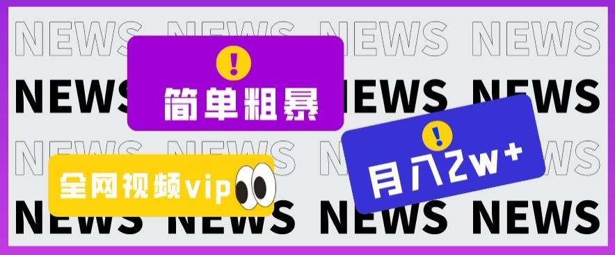 简单粗暴零成本，高回报，全网视频VIP掘金项目，月入2万＋【揭秘】-翻身站