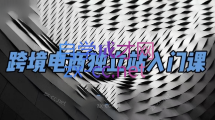 团长·跨境电商独立站入门课(2小时精华)-翻身站