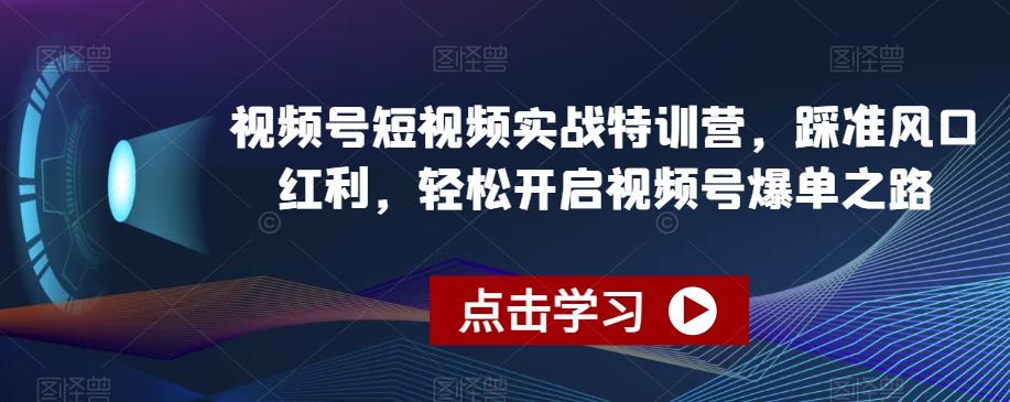 视频号短视频实战特训营，踩准风口红利，轻松开启视频号爆单之路-翻身站