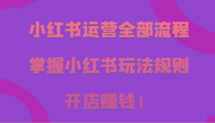 小红书运营全部流程，掌握小红书玩法规则，开店赚钱！-翻身站