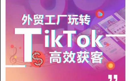 外贸工厂玩转TikTok高效获客，多种引流方式与账号定位技巧，拆解爆款短视频打造成功案例-翻身站