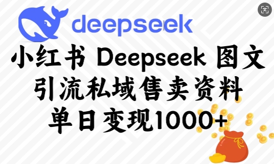 小红书Deepseek图文引流私域售卖资料，单日变现多张-翻身站