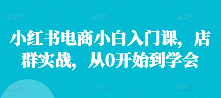 小红书电商小白入门课，店群实战，从0开始到学会-翻身站