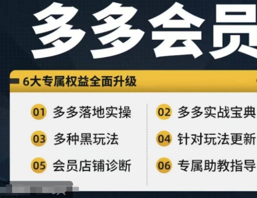 拼多多会员，拼多多实战宝典+实战落地实操，从新手到高阶内容全面覆盖-翻身站