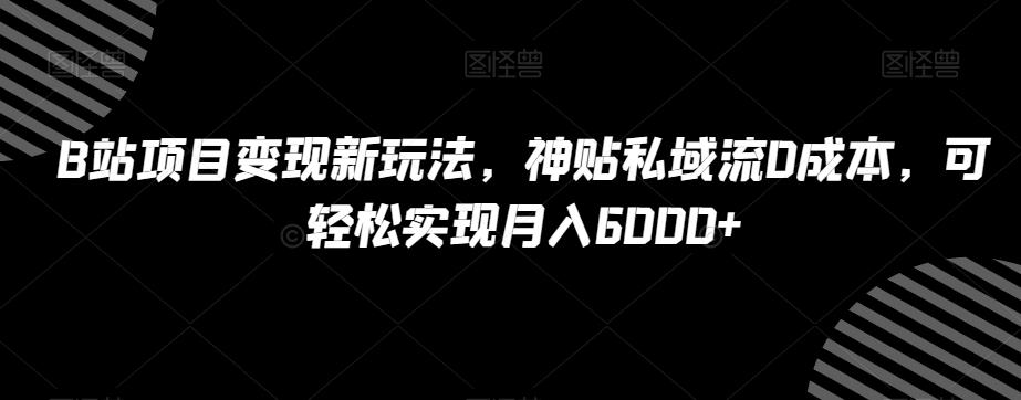 B站项目变现新玩法,神贴私域流0成本,可轻松实现月入6000+【揭秘】-翻身站