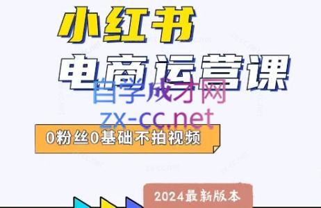 达哥·小红书电商运营(2024版)-翻身站