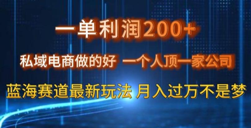 一单利润200私域电商做的好，一个人顶一家公司蓝海赛道最新玩法【揭秘】-翻身站