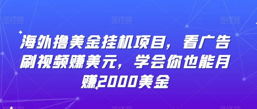 海外撸美金挂机项目，看广告刷视频赚美元，学会你也能月赚2000美金-翻身站