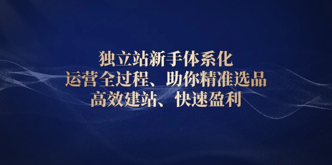 独立站新手体系化 运营全过程，助你精准选品、高效建站、快速盈利-翻身站