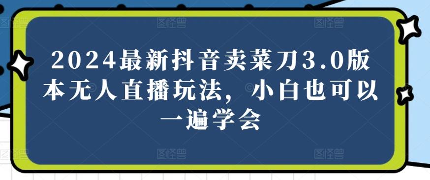 2024最新抖音卖菜刀3.0版本无人直播玩法，小白也可以一遍学会【揭秘】-翻身站