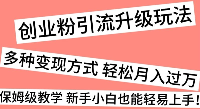创业粉引流升级玩法，多种变现方式轻松月入过万，保姆级教学新手小白也能轻易上手！-翻身站