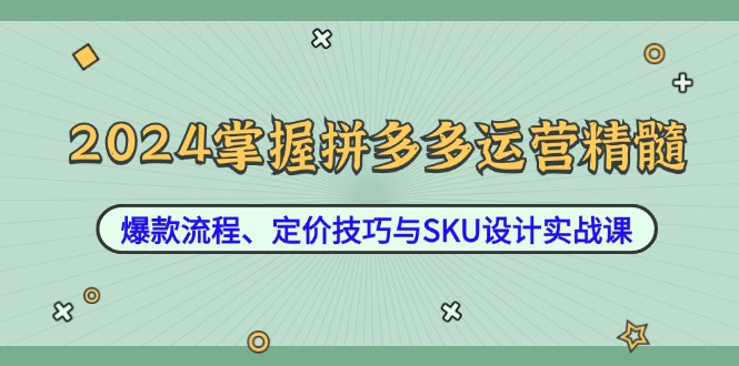 2024掌握拼多多运营精髓：爆款流程、定价技巧与SKU设计实战课-翻身站