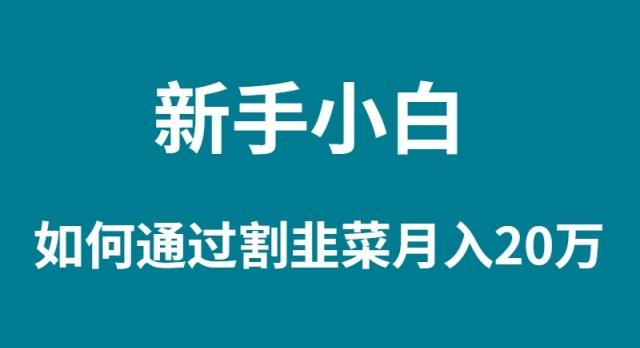 (9308期)新手小白如何通过割韭菜月入 20W-翻身站