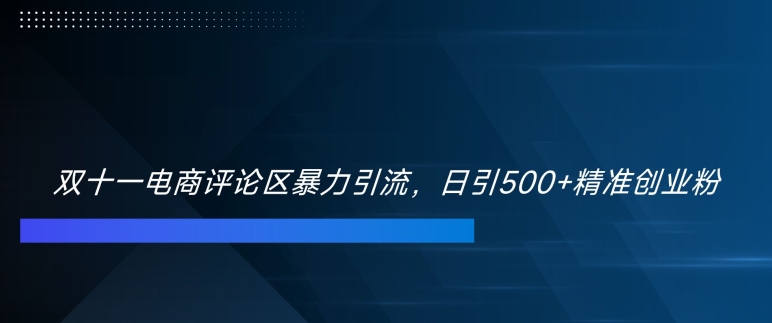 双十一电商评论区暴力引流，日引500+精准创业粉【揭秘】-翻身站