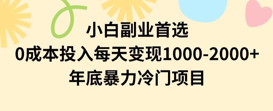 小白副业首选，0成本投入，每天变现1000-2000年底暴力冷门项目【揭秘】-翻身站