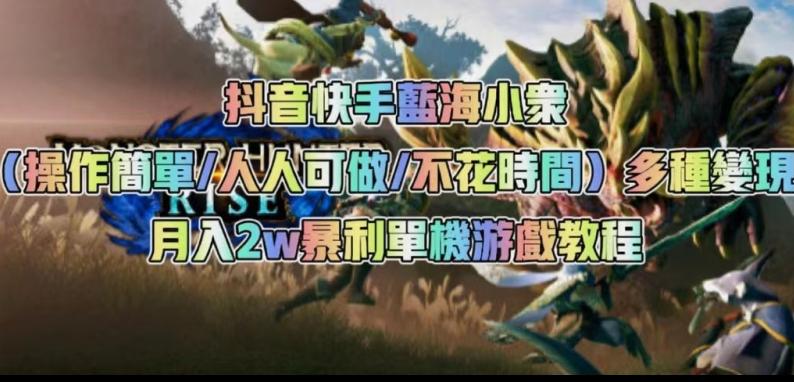 抖音快手蓝海小众（操作简单人人可做不花时间）多种变现月入2w＋暴利单机游戏教程-翻身站