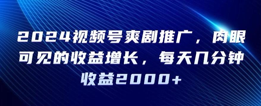 2024视频号爽剧推广，肉眼可见的收益增长，每天几分钟收益2000+【揭秘】-翻身站