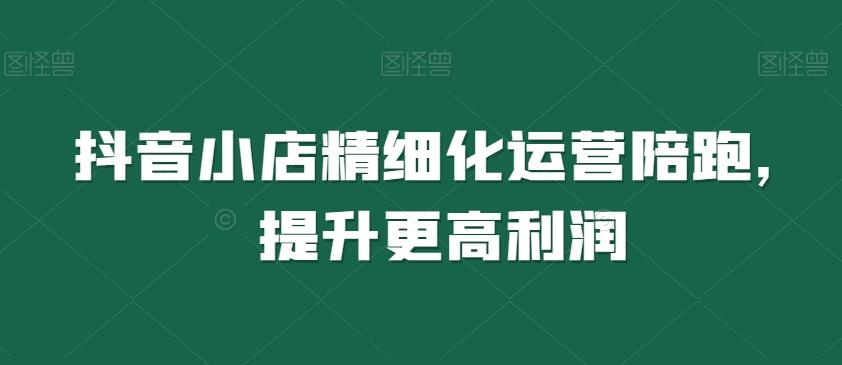 抖音小店精细化运营陪跑，提升更高利润-翻身站