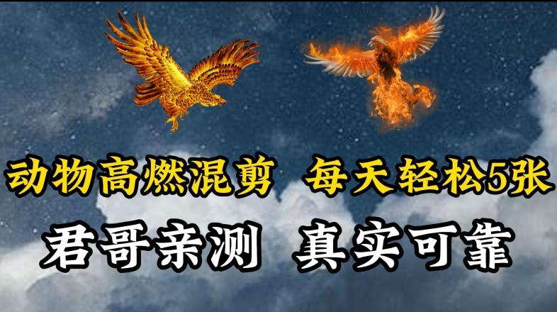 动物超燃混剪，每天轻松5张，剪辑简单大家爱看【揭秘】-翻身站