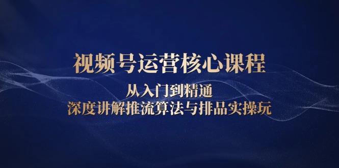 视频号运营核心课程，从入门到精通，深度讲解推流算法与排品实操玩-翻身站