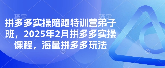 拼多多实操陪跑特训营弟子班，2025年2月拼多多实操课程，海量拼多多玩法-翻身站
