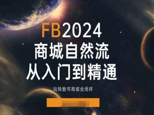 2024Faceboo商城自然流(从入门到精通)，玩转脸书商城全闭环-翻身站