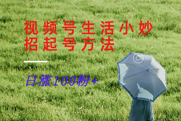 视频号生活小妙招分享赛道， 起号涨粉新方法，日涨100粉-翻身站
