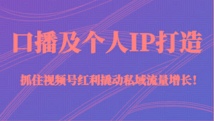 口播及个人IP打造，抓住视频号红利撬动私域流量增长！（45节课）-翻身站