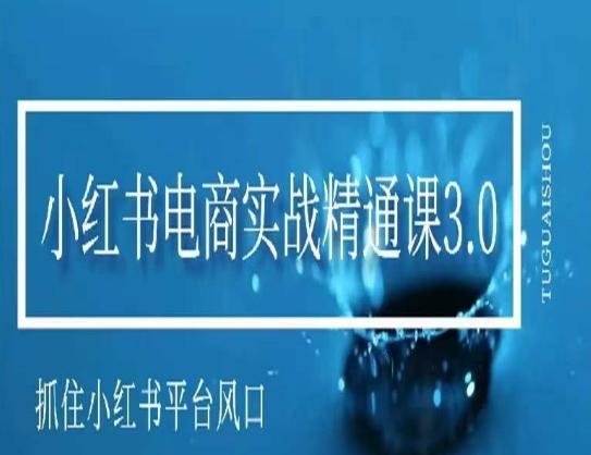 小红书电商实战精通课3.0，抓住小红书平台的风口，不错过有一个赚钱的机会-翻身站