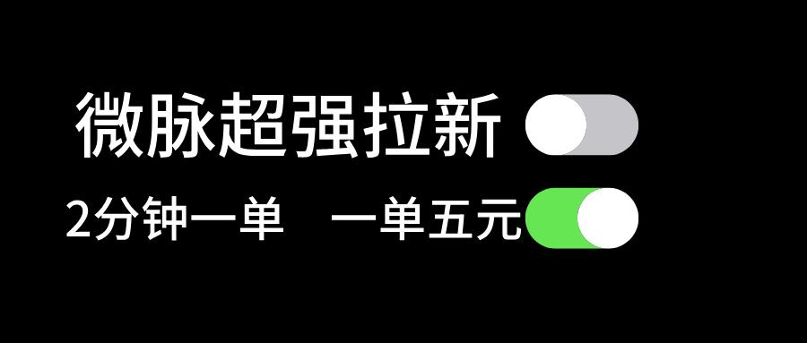 微脉超强拉新， 两分钟1单， 一单利润5块，适合小白-翻身站