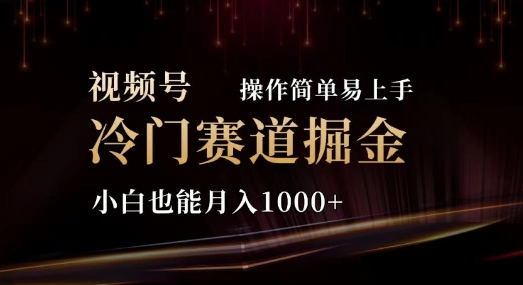 2024视频号冷门赛道掘金，操作简单轻松上手，小白也能月入1000+-翻身站