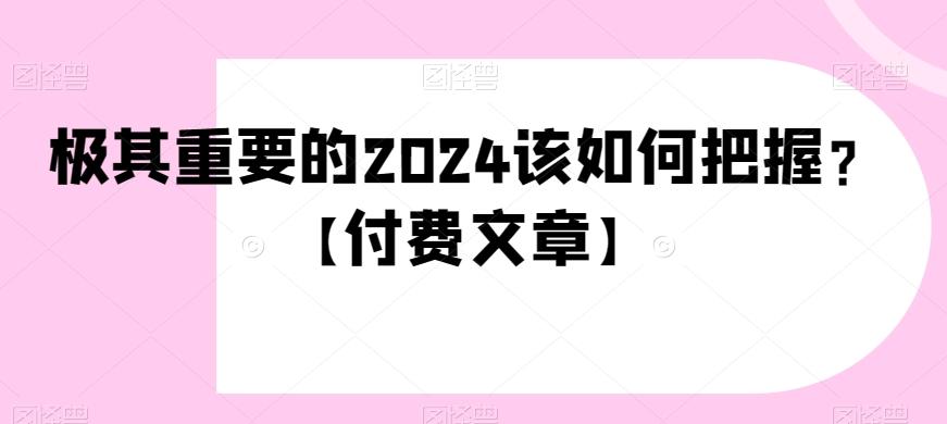 极其重要的2024该如何把握？【付费文章】-翻身站