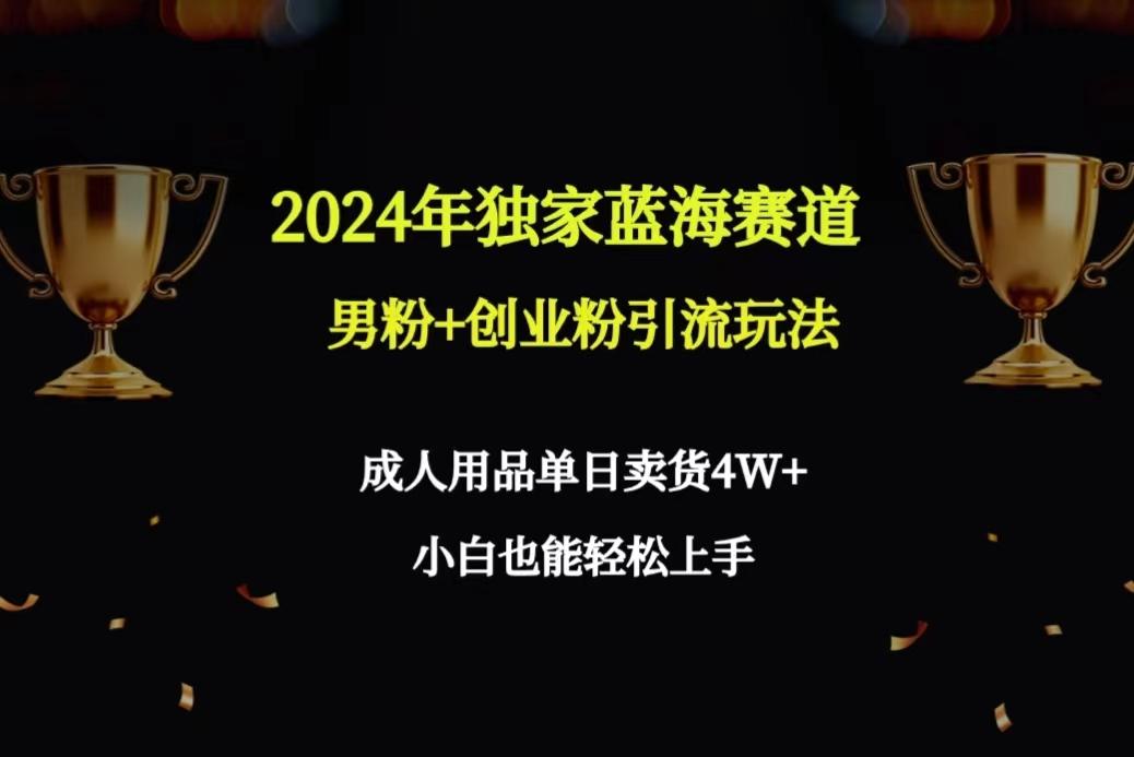 2024年独家蓝海赛道男粉+创业粉引流玩法，成人用品单日卖货4W+保姆教程-翻身站