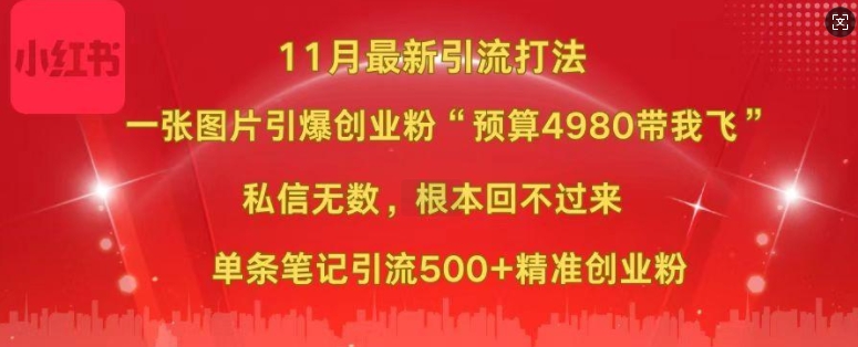 小红书11月最新图片打粉，一张图片引爆创业粉，“预算4980带我飞”，单条引流500+精准创业粉-翻身站