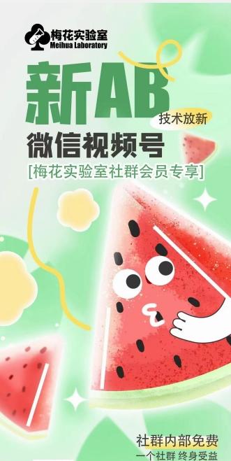 梅花实验室2024年AB技术视频号AB合成破解版-翻身站