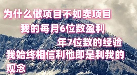 做项目不如卖项目，每月6位数盈利，年7位数经验-翻身站
