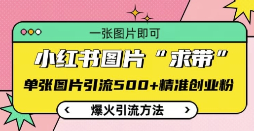 小红书图片‘求带’爆火引流法，单张图片引流500+精准创业粉【揭秘】-翻身站