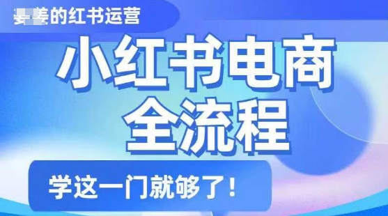 小红书电商全流程，精简易懂，从入门到精通，学这一门就够了-翻身站
