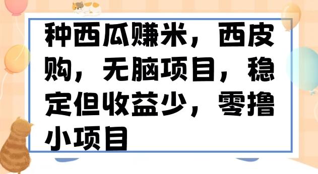 种西瓜赚米，西皮购稳定长久零撸小项目-翻身站